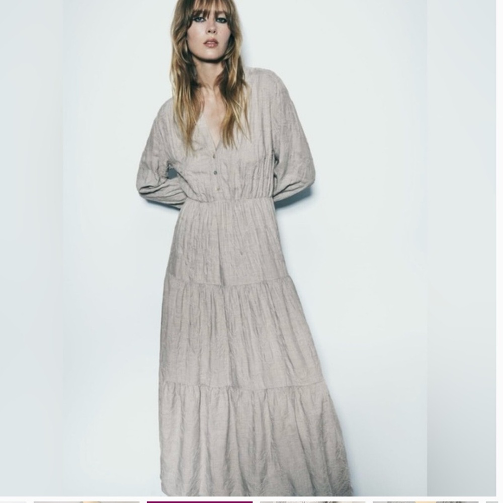 Zara Long Sleeve Gray Maxi Dress